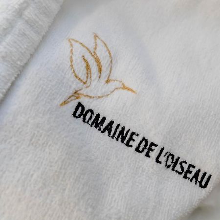 Domaine De L'Oiseau Bed & Breakfast Gergy Bagian luar foto