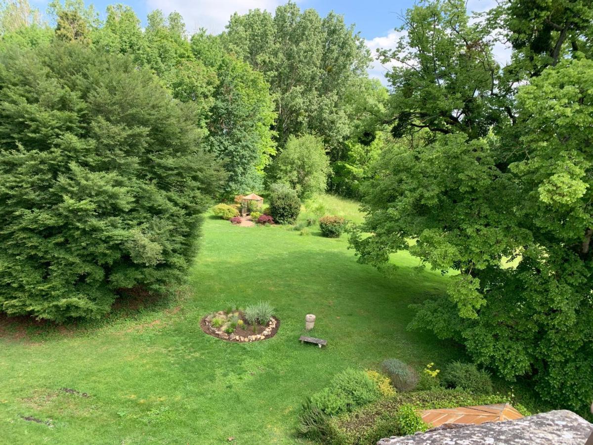 Domaine De L'Oiseau Bed & Breakfast Gergy Bagian luar foto