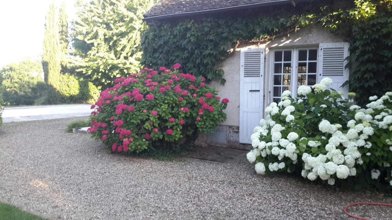 Domaine De L'Oiseau Bed & Breakfast Gergy Bagian luar foto